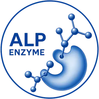 ALP